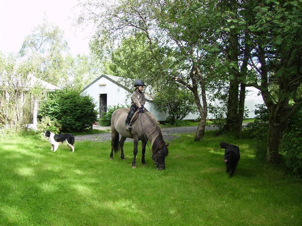 Arbakki Farmhouse Lodge Reykholt  Zewnętrze zdjęcie